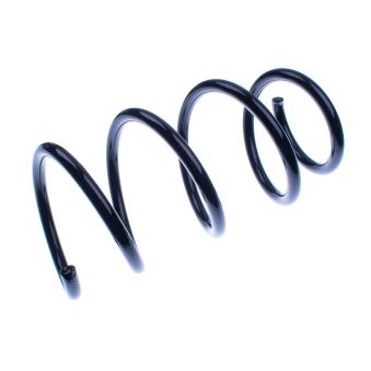 Ressort de suspension DENCKERMANN OEM 6001549183