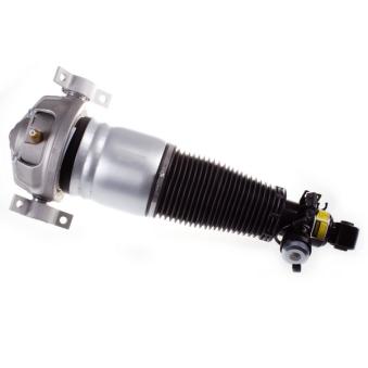 Armortisseur pneumatique arrière droit DENCKERMANN OEM 95533303443