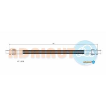 Flexible de frein ADRIAUTO [10.1275]