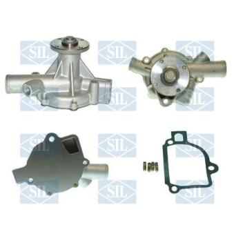 Pompe à eau Saleri SIL PA1021