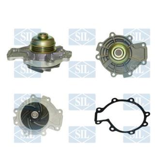 Pompe à eau Saleri SIL PA1369