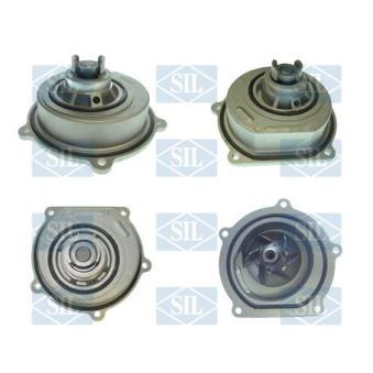 Pompe à eau Saleri SIL OEM ERR6505