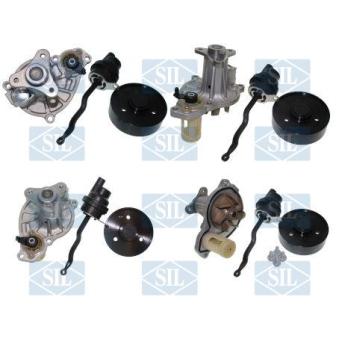 Pompe à eau Saleri SIL OEM 11518588887