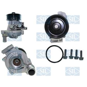 Pompe à eau Saleri SIL OEM 2460320