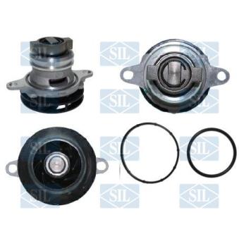 Pompe à eau, refroidissement du moteur Saleri SIL PA1751 pour LANCIA YPSILON 1.0 Mild Hybrid - 69cv Pompe à eau, refroidissement du moteur Saleri SIL PA1751 pour LANCIA YPSILON 1.0 Mild Hybrid - 69cv