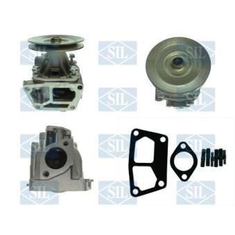 Pompe à eau Saleri SIL OEM 5882695