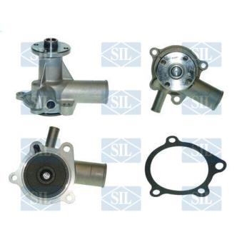 Pompe à eau Saleri SIL PA215