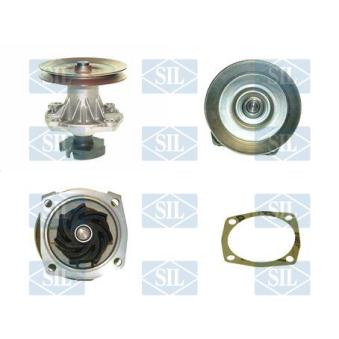 Pompe à eau Saleri SIL OEM 7784974