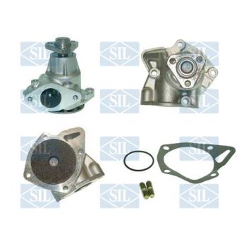 Pompe à eau Saleri SIL PA254