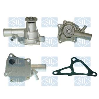 Pompe à eau Saleri SIL PA261