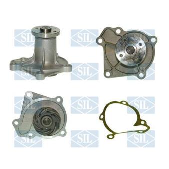 Pompe à eau Saleri SIL PA281