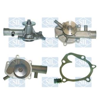 Pompe à eau Saleri SIL PA308