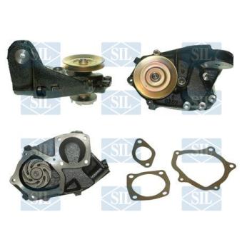 Pompe à eau Saleri SIL [PA360P]