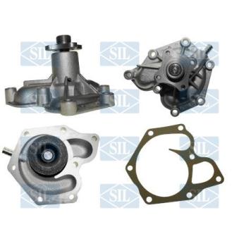 Pompe à eau Saleri SIL PA393