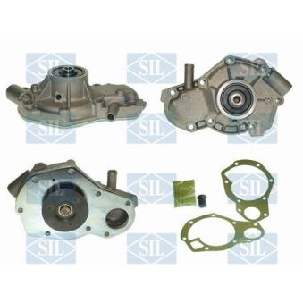 Pompe à eau Saleri SIL PA413