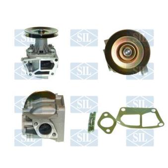 Pompe à eau Saleri SIL PA487P