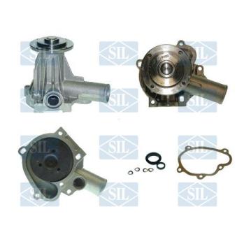 Pompe à eau Saleri SIL PA492