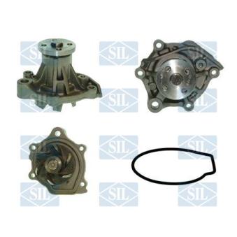 Pompe à eau Saleri SIL PA517