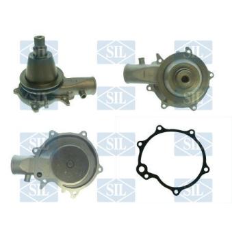 Pompe à eau Saleri SIL PA579P