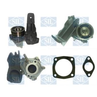 Pompe à eau Saleri SIL OEM 7589778