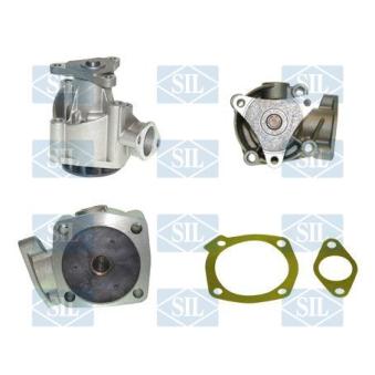 Pompe à eau Saleri SIL PA706