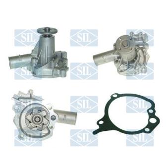 Pompe à eau Saleri SIL PA781