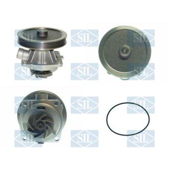 Pompe à eau Saleri SIL OEM 7752928 Pompe à eau Saleri SIL OEM 7752928