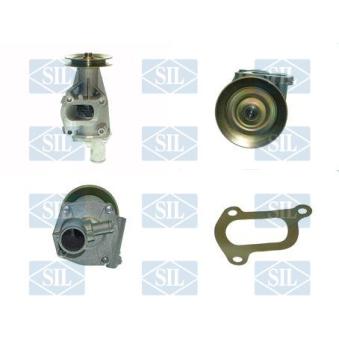 Pompe à eau Saleri SIL [PA873]