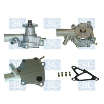 Pompe à eau Saleri SIL PA999