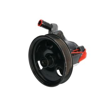 Pompe hydraulique, direction LAUBER [55.3572]