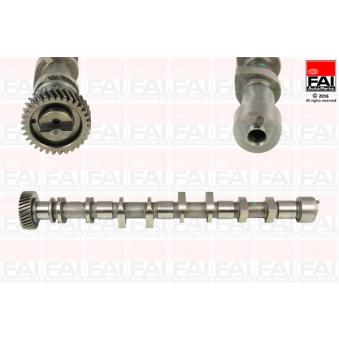 Arbre à came FAI AutoParts C361