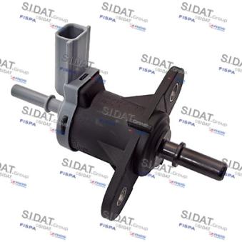 Gicleur, injection SIDAT [81.296]