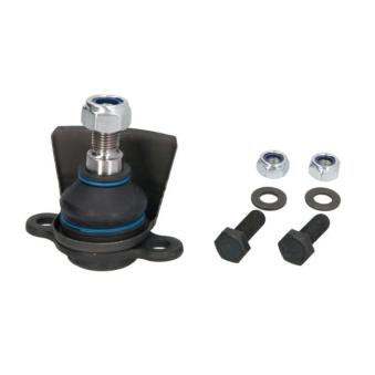 Rotule de suspension REINHOCH RH03-4017 pour FORD FOCUS 1.9 TDI - 110cv