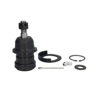 Rotule de suspension REINHOCH [RH03-6008]