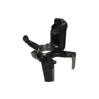 Fusée d'essieu, suspension de roue REINHOCH RH08-0023 pour NISSAN JUKE 2.0 TDI - 110cv