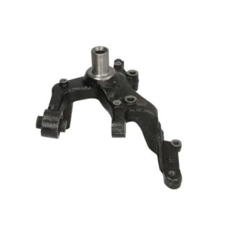 Fusée d'essieu, suspension de roue arrière droit REINHOCH RH08-0048 pour DODGE CHARGER 2.0 TDI - 110cv