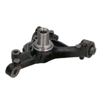 Fusée d'essieu, suspension de roue arrière droit REINHOCH RH08-0050 pour DODGE CHARGER 2.0 TDI - 110cv