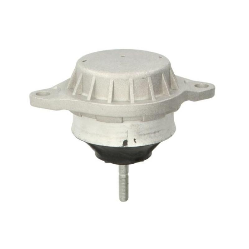 Support moteur REINHOCH RH11-0000 - Visuel 1