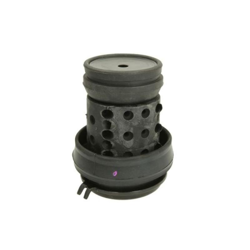 Support moteur REINHOCH RH11-0018 - Visuel 1