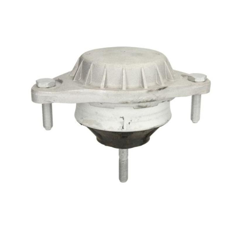 Support moteur REINHOCH RH11-0116 - Visuel 1