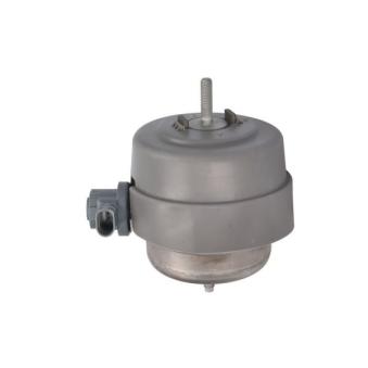 Support moteur REINHOCH RH11-0159 pour AUDI A4 2.5 TDI - 163cv