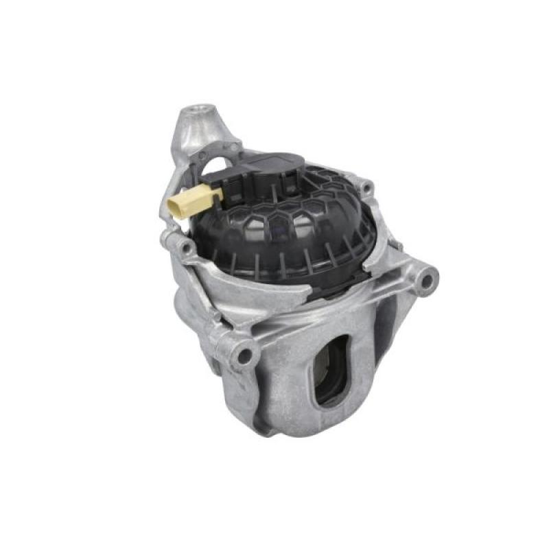 Support moteur REINHOCH RH11-0174 - Visuel 1
