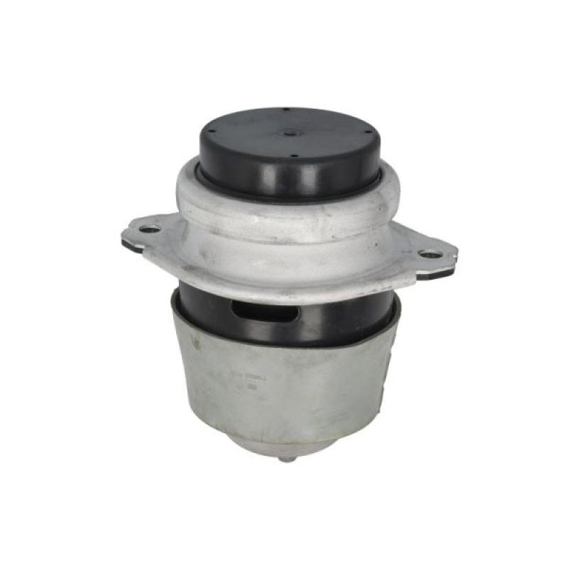 Support moteur REINHOCH RH11-0181 - Visuel 1