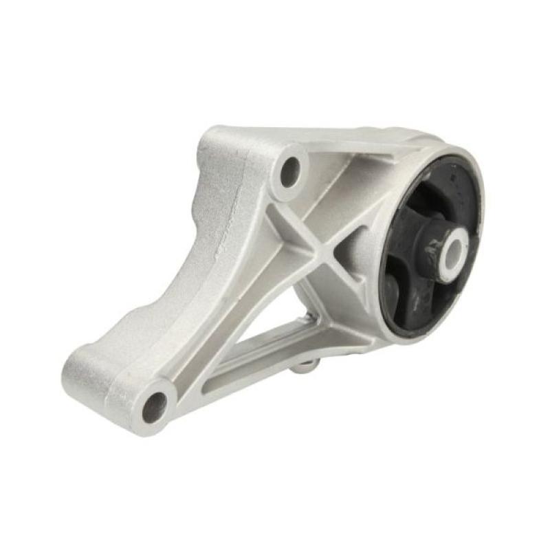 Support moteur REINHOCH RH11-1017 - Visuel 1