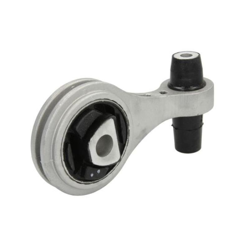 Support moteur REINHOCH RH11-1036 - Visuel 1