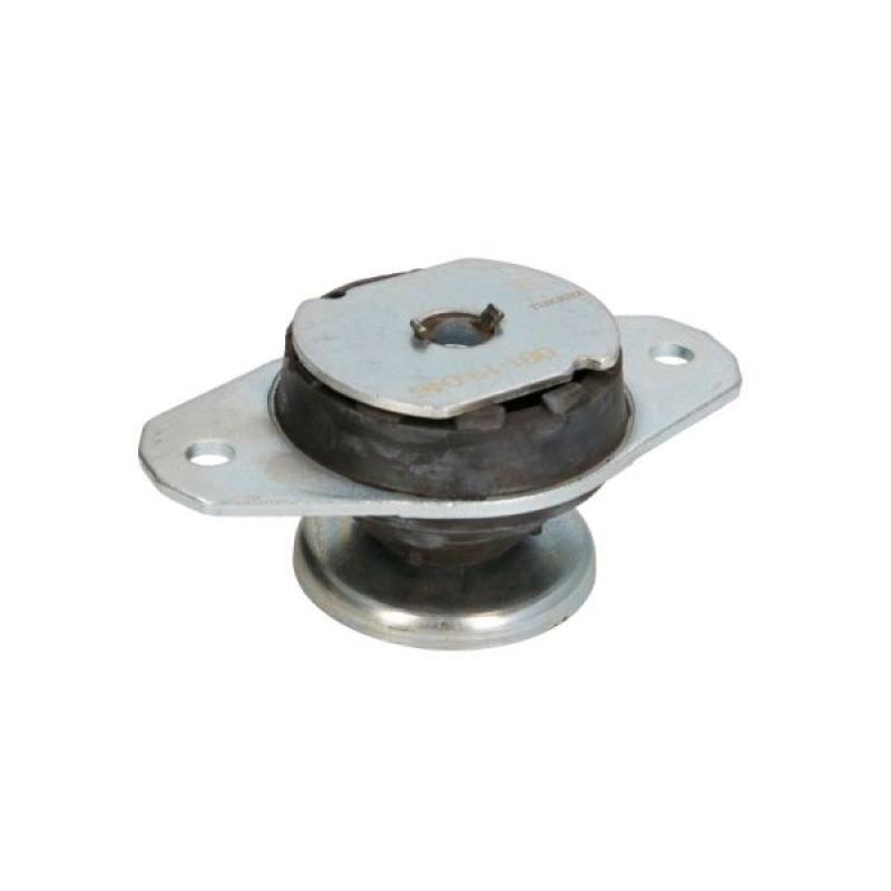 Support moteur REINHOCH RH11-1049 - Visuel 1