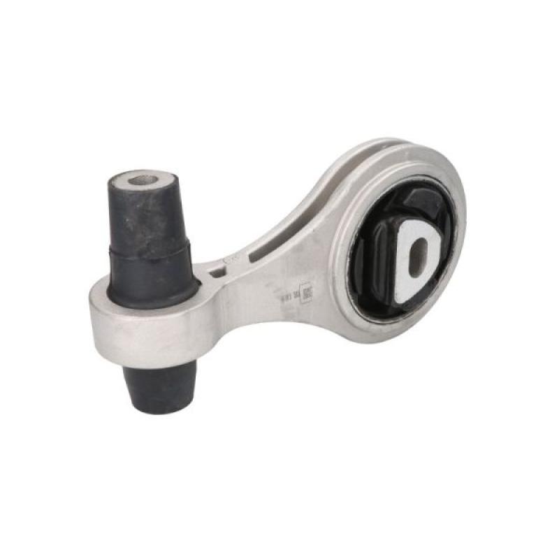 Support moteur REINHOCH RH11-1091 - Visuel 1