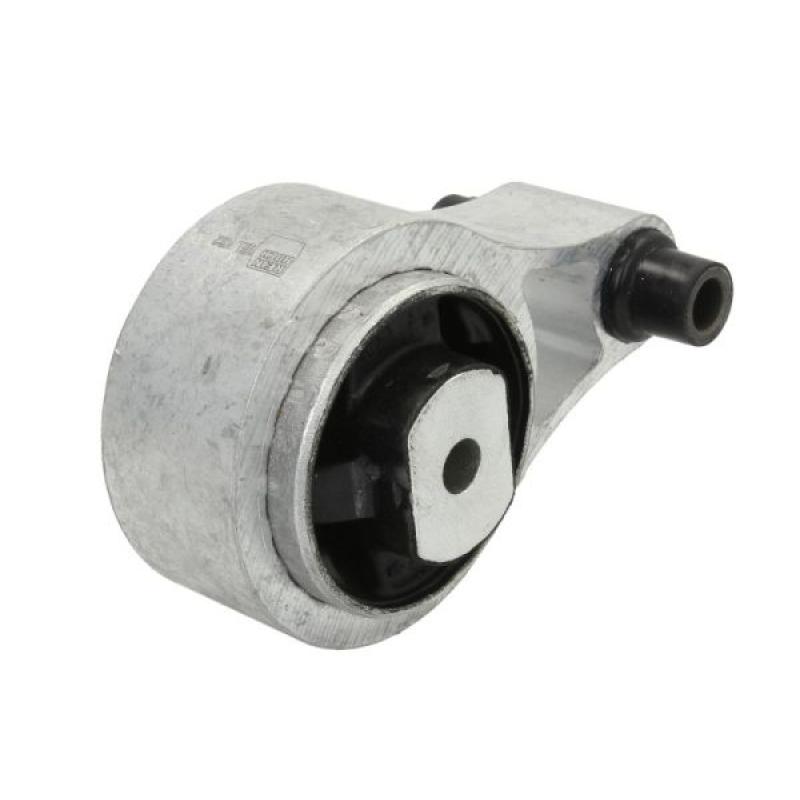 Support moteur REINHOCH RH11-2038 - Visuel 1