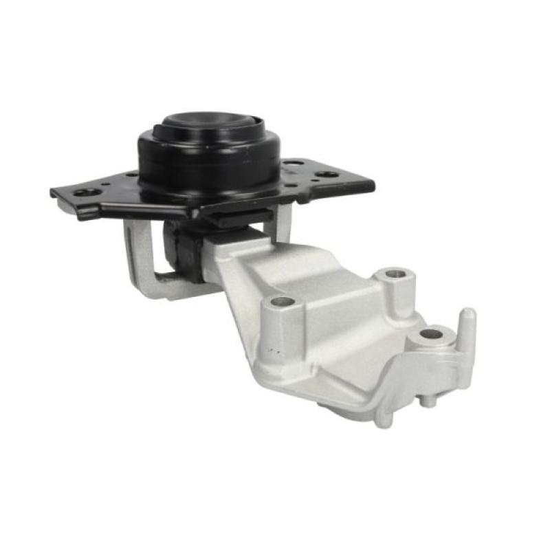 Support moteur REINHOCH RH11-2111 - Visuel 1