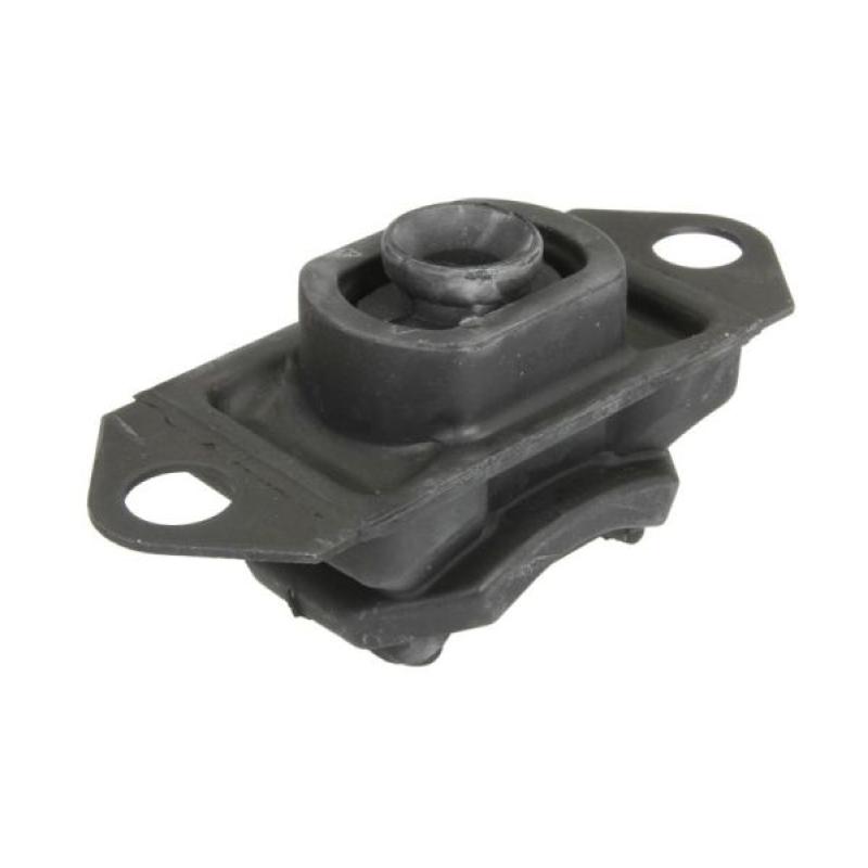 Support moteur REINHOCH RH11-2129 - Visuel 1